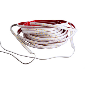 LED Stripes ab IP44 bei Zaremba Elektro GmbH & Co.KG in Trautskirchen